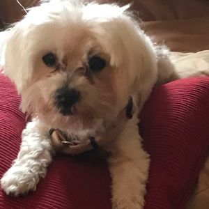 Meet your Posher, Derly